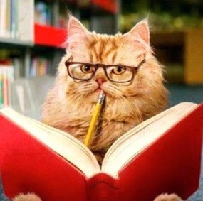 cat wearing glasses, reading a book and holding a pencil